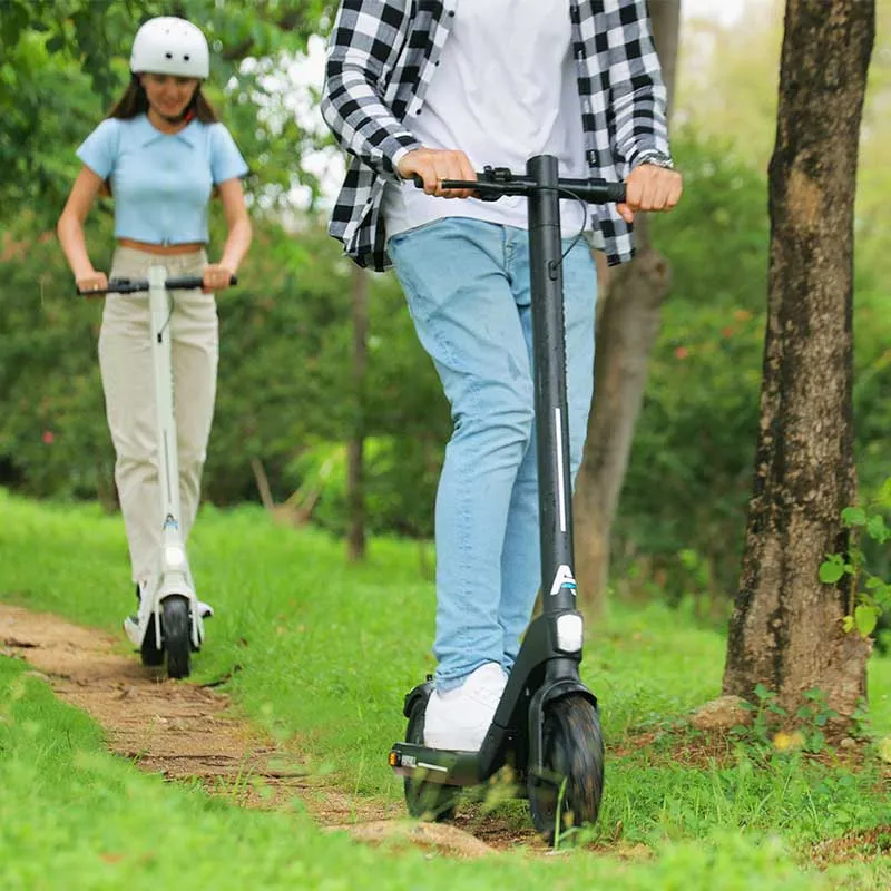 AnyHill UM-2 36V/10Ah 450W Foldable Electric Scooter