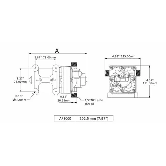 Aqua Pro Fresh Water Pump