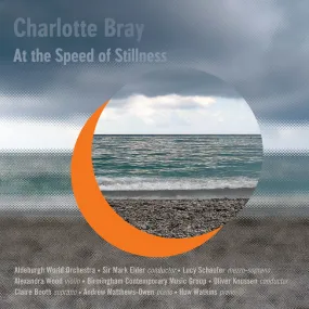 Charlotte Bray: At the Speed of Stillness